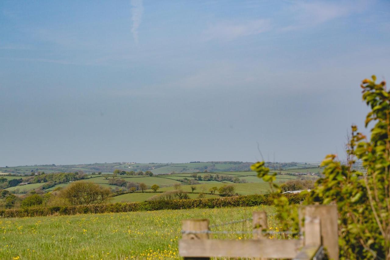 Maes Y Mel- A Couples, Pet Friendly, Rural Romantic Getaway With Countryside Views Gellywen 외부 사진