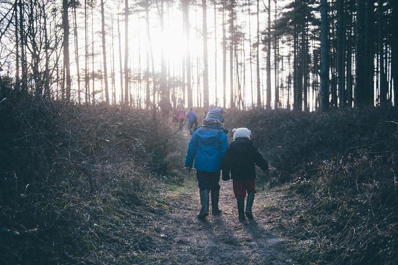 Maes Y Mel- A Couples, Pet Friendly, Rural Romantic Getaway With Countryside Views Gellywen 외부 사진